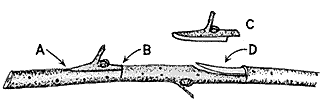 Peywent-8
