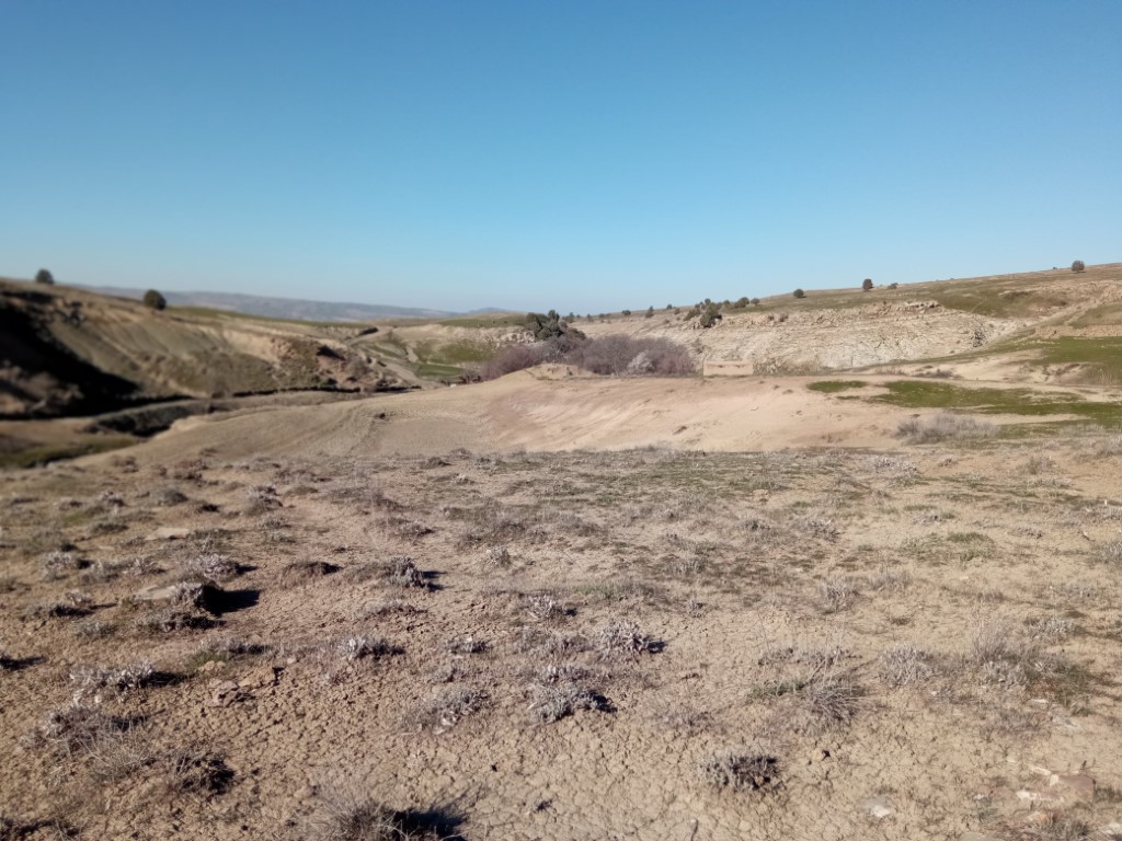 1648631203163