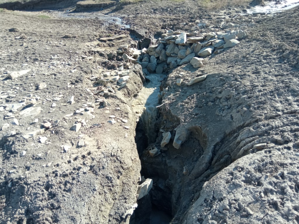 1648631203285