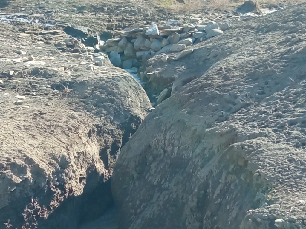 1648631203396