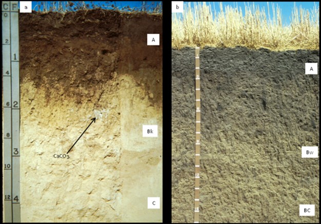 Рис 9