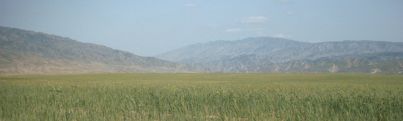 Us_0008