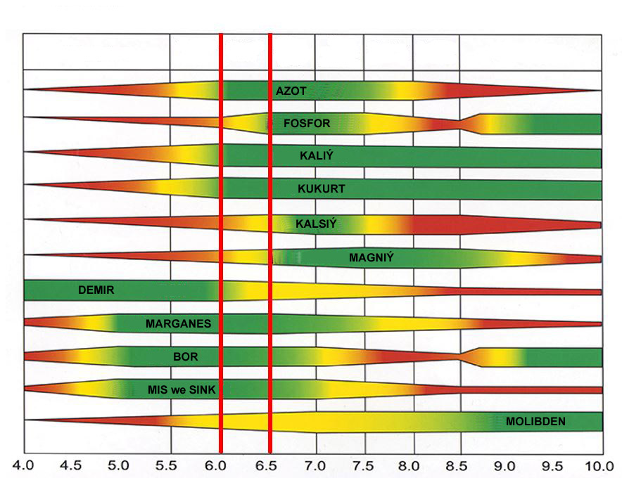 Soil_ph_effects_plant_nutrient_availability_tkm