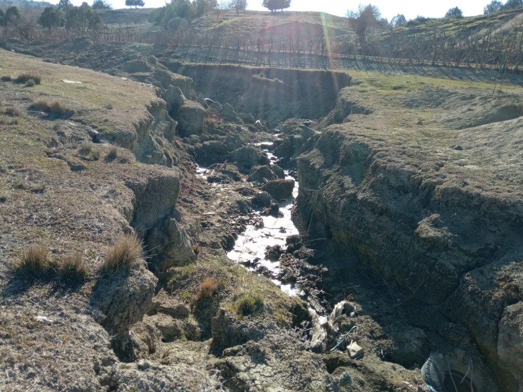 1648631203127